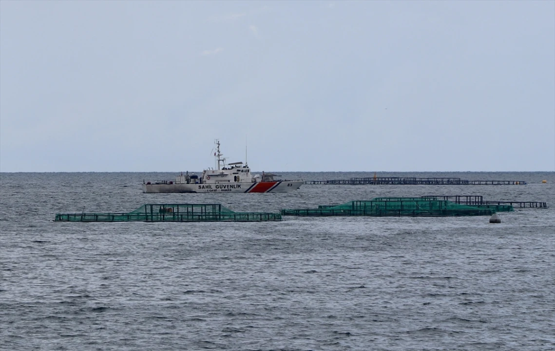 Trabzon'da kaybolan balıkçı için hummalı arama çalışması sürüyor