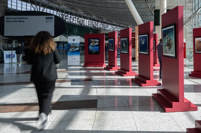Ankara'da Büyüleyici Su Altı Sergisi: Tehlike Altındaki Türler