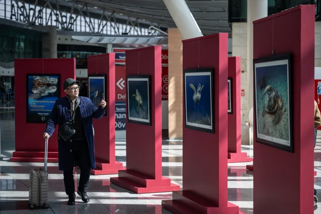 Ankara'da Büyüleyici Su Altı Sergisi: Tehlike Altındaki Türler