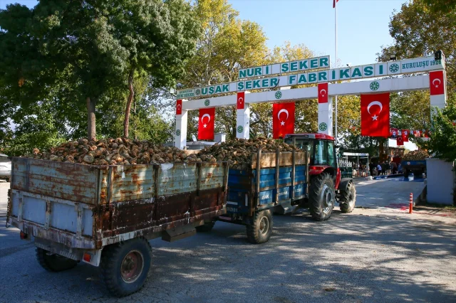 100 Yıllık Gelenek: Nuri Şeker Uşak Şeker Fabrikası'nda Coşkulu Yeni Sezon