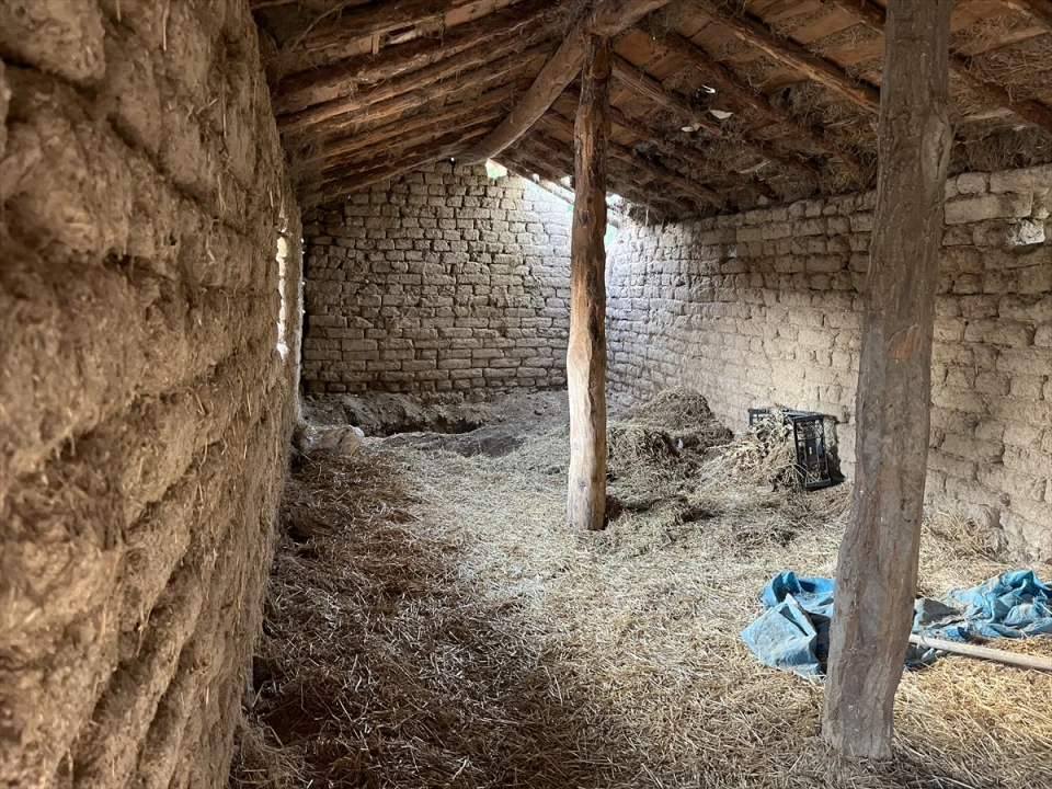 Eskişehir'de Kardeş Cinayetinin Şoke Eden Detayları Ortaya Çıktı