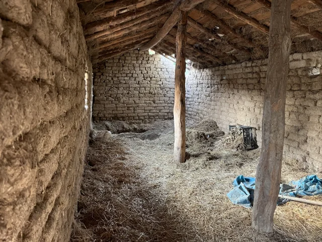 Eskişehir'de Kardeş Cinayetinin Şoke Eden Detayları Ortaya Çıktı