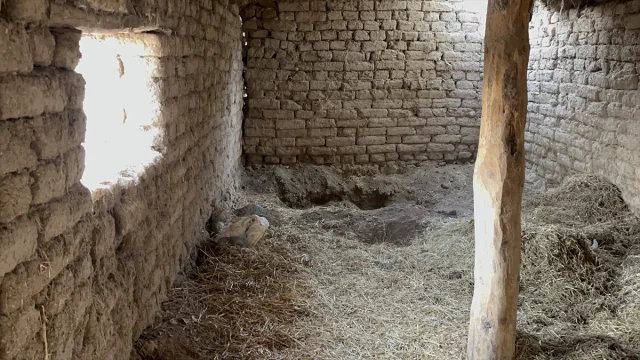 Eskişehir'de Kardeş Cinayetinin Şoke Eden Detayları Ortaya Çıktı