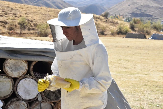 Bitlis’in Yaylalarında Karakovan Balı Hasadına Başlandı