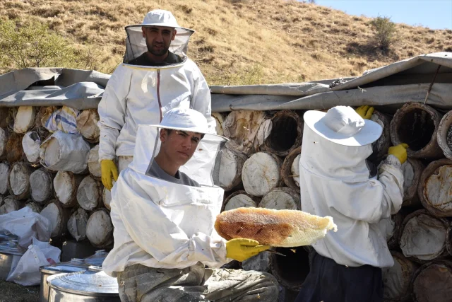 Bitlis’in Yaylalarında Karakovan Balı Hasadına Başlandı