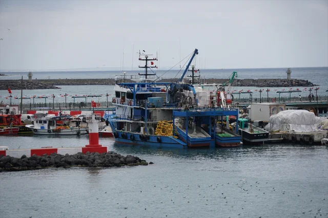 Tekirdağ'da Poyraz Fırtınası Balıkçıları Vuruyor