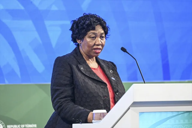 Türkiye-Afrika İş Birliği: Güney Afrika ile Yenilikçi Ortakl...