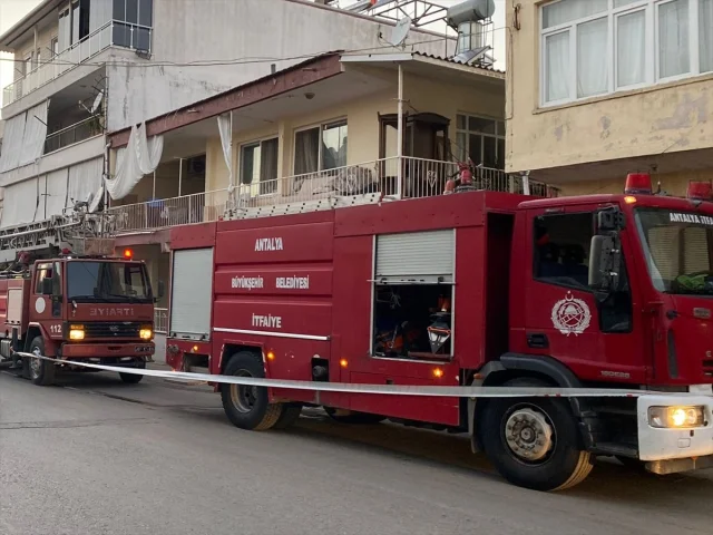 Antalya'da Yangında Mucizevi Kurtuluş: Muhabbet Kuşunun Kahraman Hikayesi