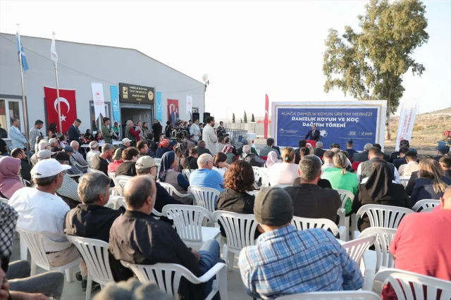 İzmir'de Hayvancılığa Destek Hamlesi Zenginleşiyor