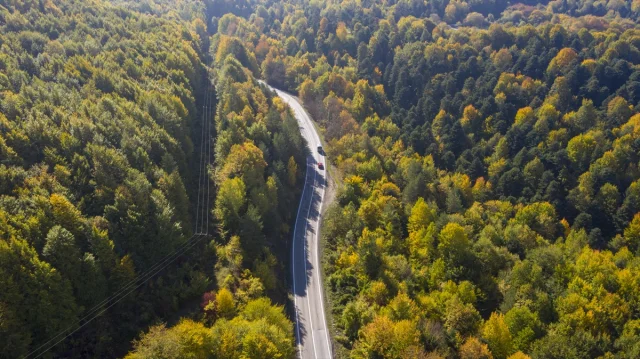 Bolu'nun Büyüleyici Sonbahar Manzaraları Nefes Kesiyor