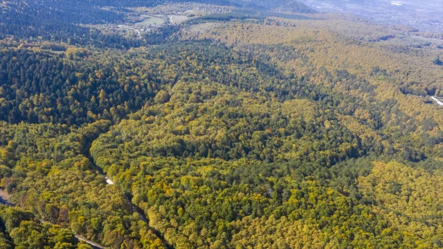 Bolu'nun Büyüleyici Sonbahar Manzaraları Nefes Kesiyor