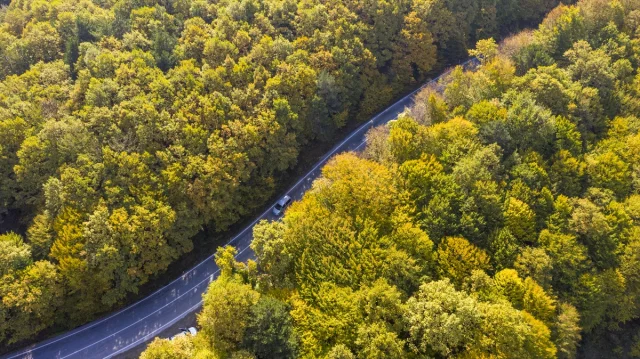Bolu'nun Büyüleyici Sonbahar Manzaraları Nefes Kesiyor