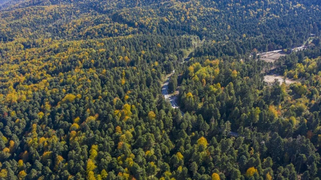 Bolu'nun Büyüleyici Sonbahar Manzaraları Nefes Kesiyor