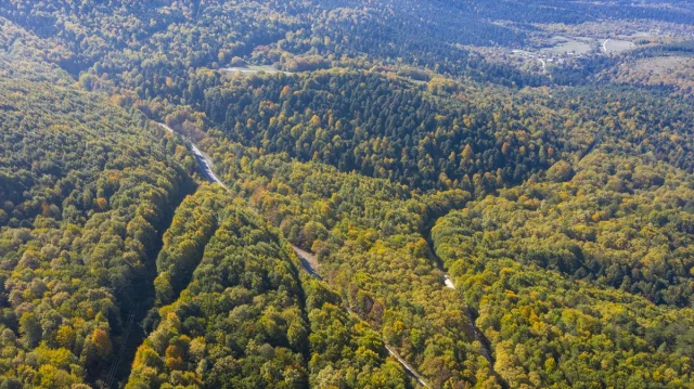 Bolu'nun Büyüleyici Sonbahar Manzaraları Nefes Kesiyor