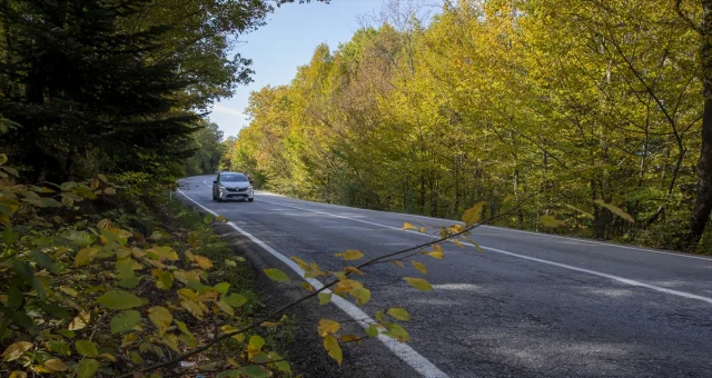 Bolu'nun Büyüleyici Sonbahar Manzaraları Nefes Kesiyor