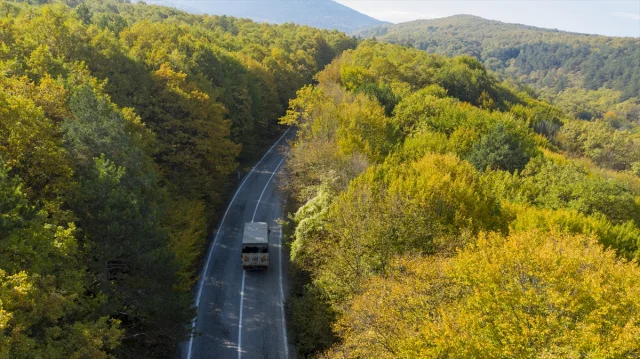Bolu'nun Büyüleyici Sonbahar Manzaraları Nefes Kesiyor