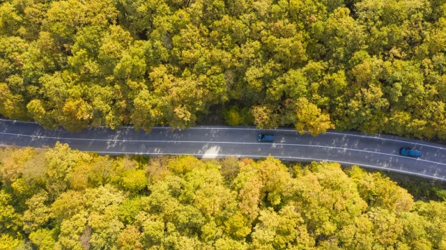 Bolu'nun Büyüleyici Sonbahar Manzaraları Nefes Kesiyor