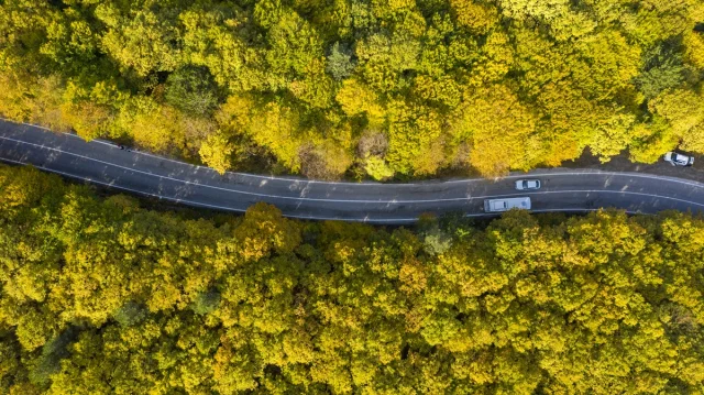 Bolu'nun Büyüleyici Sonbahar Manzaraları Nefes Kesiyor