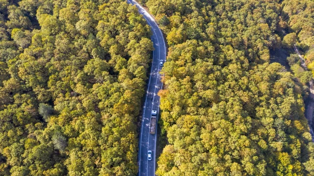 Bolu'nun Büyüleyici Sonbahar Manzaraları Nefes Kesiyor