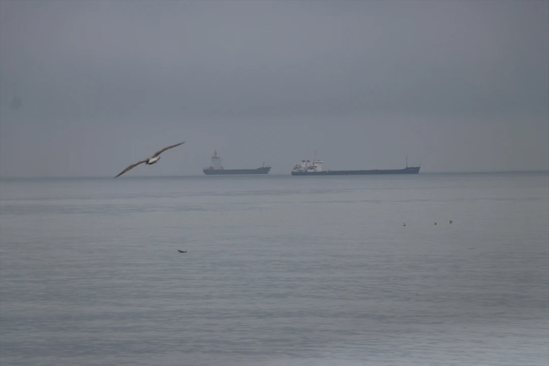 Tekirdağ'da Poyrazın Ardından Deniz Ulaşımı Yeniden Hayat Buldu