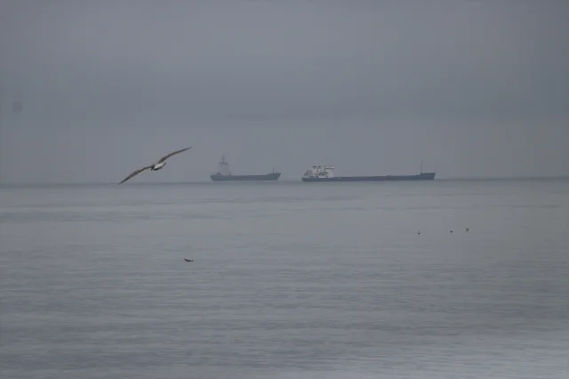 Tekirdağ'da Poyrazın Ardından Deniz Ulaşımı Yeniden Hayat Buldu