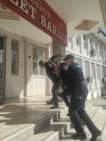 Konya'da Kaçakçılık Operasyonu Şok Etti: Detaylar ve Daha Fazlası