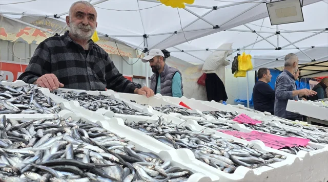 Zonguldak'ta Hamsi Bereketi Balık Tezgahlarına Yansıdı
