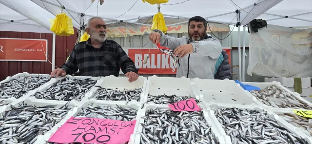 Zonguldak'ta Hamsi Bereketi Balık Tezgahlarına Yansıdı