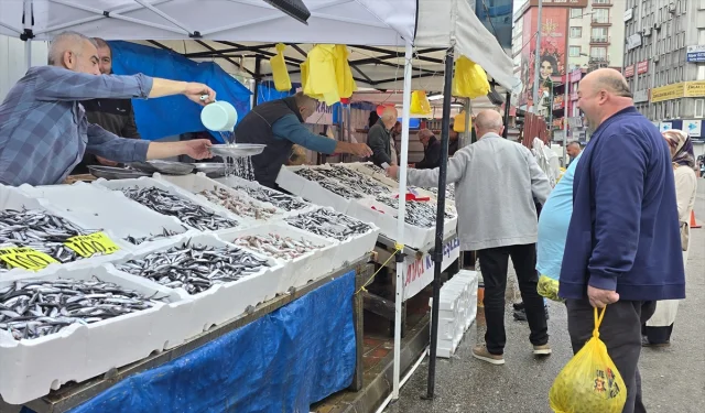 Zonguldak'ta Hamsi Bereketi Balık Tezgahlarına Yansıdı
