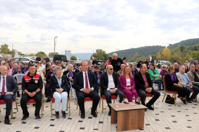 Karabük'te Safran Festivali Coşkusu Devam Ediyor