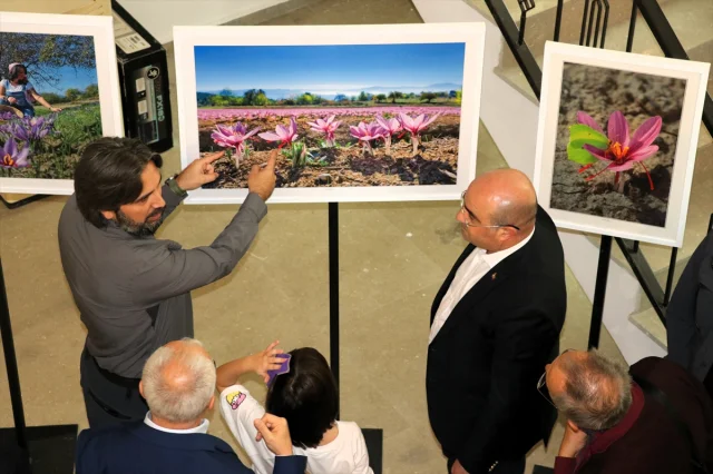 Karabük'te Safran Festivali Coşkusu Devam Ediyor