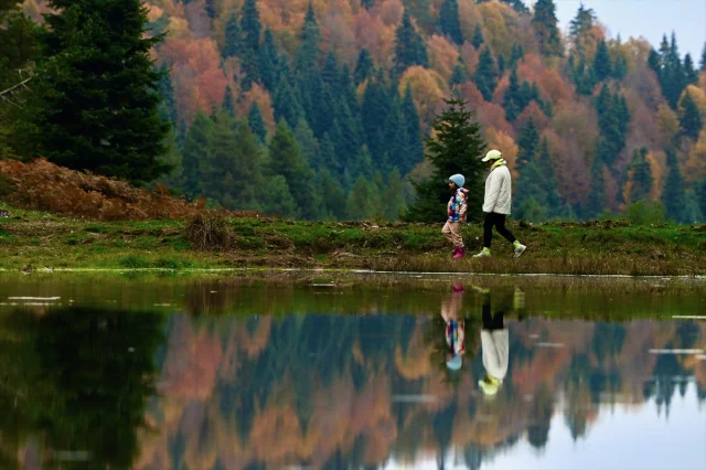 Sonbahar Büyüsüne Kapılan Düzce, Sakarya ve Bolu'da Doğanın...