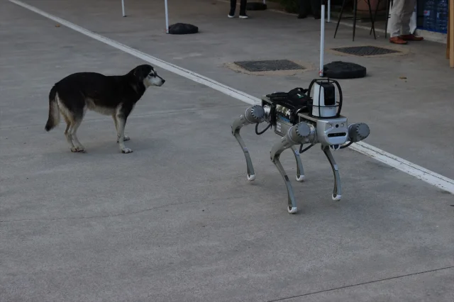 Milli Robot Köpek Savunma Sahanesini Fethedecek