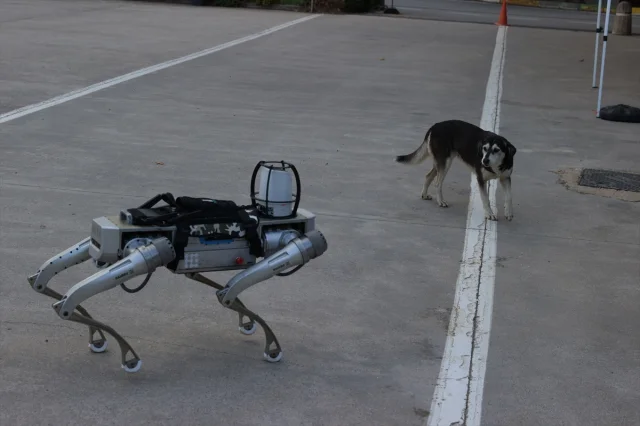 Milli Robot Köpek Savunma Sahanesini Fethedecek