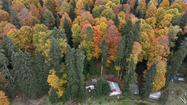 Sonbahar Büyüsüne Kapılan Düzce, Sakarya ve Bolu'da Doğanın Renk Cümbüşü