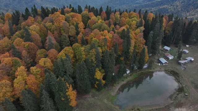 Sonbahar Büyüsüne Kapılan Düzce, Sakarya ve Bolu'da Doğanın Renk Cümbüşü