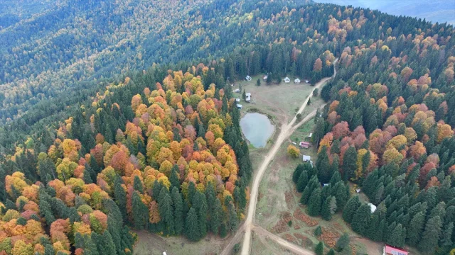 Sonbahar Büyüsüne Kapılan Düzce, Sakarya ve Bolu'da Doğanın Renk Cümbüşü