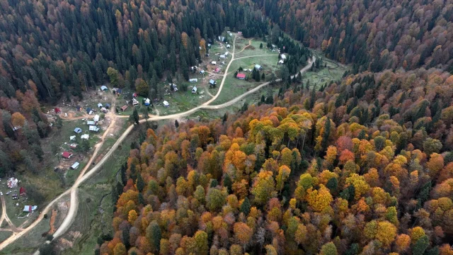 Sonbahar Büyüsüne Kapılan Düzce, Sakarya ve Bolu'da Doğanın Renk Cümbüşü
