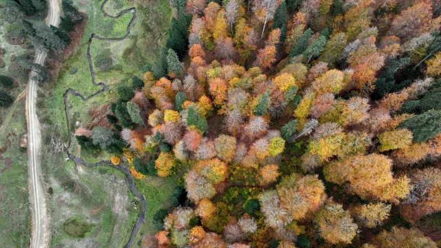 Sonbahar Büyüsüne Kapılan Düzce, Sakarya ve Bolu'da Doğanın Renk Cümbüşü