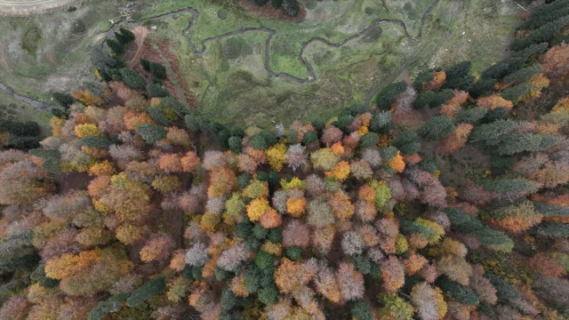 Sonbahar Büyüsüne Kapılan Düzce, Sakarya ve Bolu'da Doğanın Renk Cümbüşü