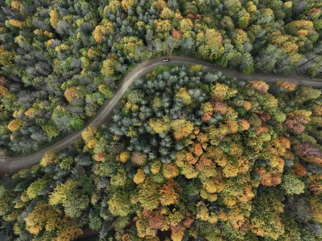 Sonbahar Büyüsüne Kapılan Düzce, Sakarya ve Bolu'da Doğanın Renk Cümbüşü