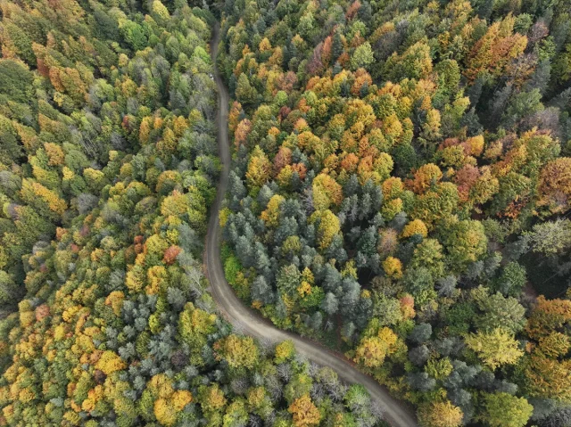 Sonbahar Büyüsüne Kapılan Düzce, Sakarya ve Bolu'da Doğanın Renk Cümbüşü