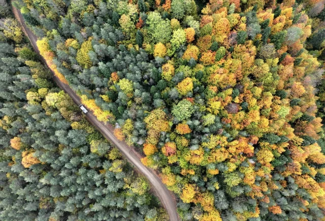 Sonbahar Büyüsüne Kapılan Düzce, Sakarya ve Bolu'da Doğanın Renk Cümbüşü