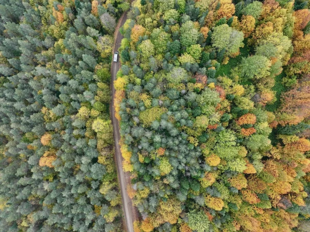 Sonbahar Büyüsüne Kapılan Düzce, Sakarya ve Bolu'da Doğanın Renk Cümbüşü