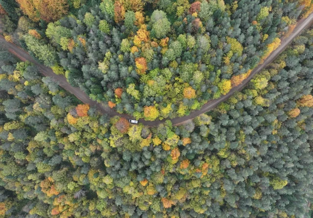 Sonbahar Büyüsüne Kapılan Düzce, Sakarya ve Bolu'da Doğanın Renk Cümbüşü