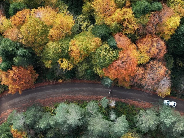 Sonbahar Büyüsüne Kapılan Düzce, Sakarya ve Bolu'da Doğanın Renk Cümbüşü
