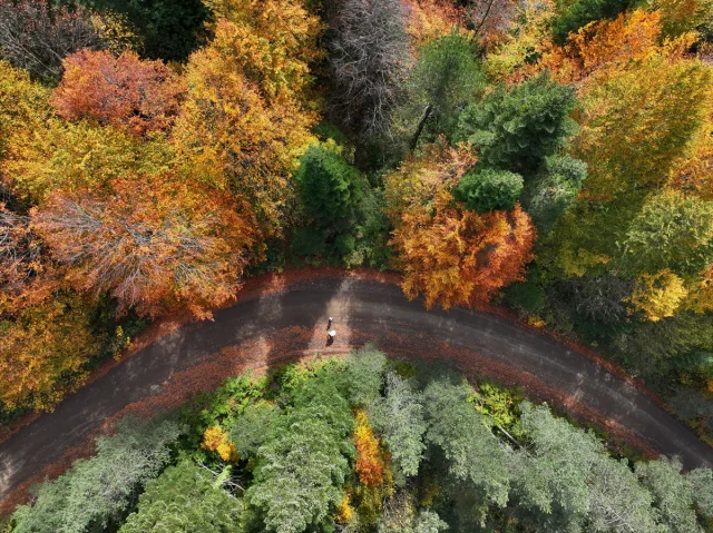 Sonbahar Büyüsüne Kapılan Düzce, Sakarya ve Bolu'da Doğanın Renk Cümbüşü