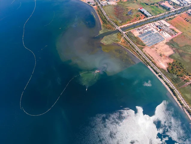 İzmit Körfezi'nde Büyük Temizlik Operasyonu Ekosistemi Canla...