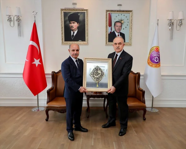Ordu'da sokak hayvanları için önemli adımlar