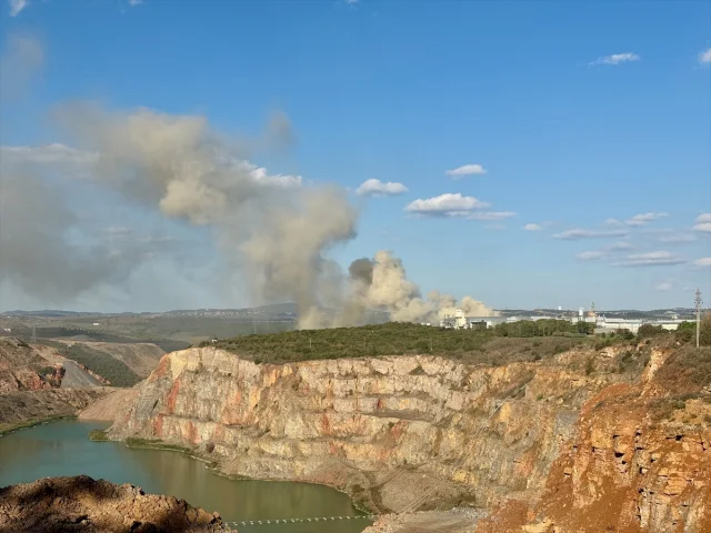 Kocaeli'de Ahşap Fabrikasında Korkutan Yangın